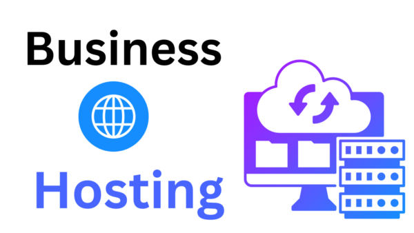 Business Web Hosting / year